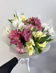 моно7 альстр2